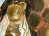 abeille-aquarelle